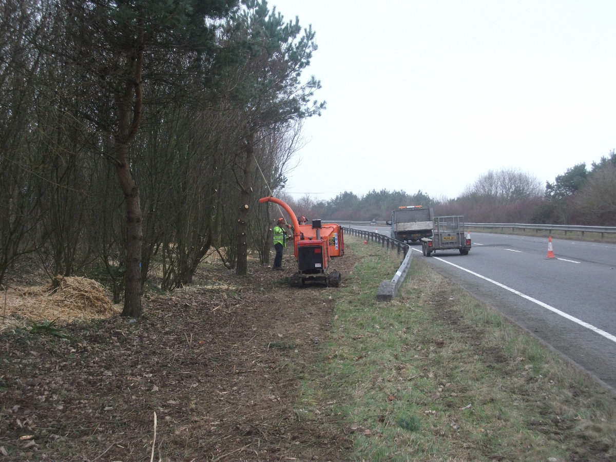 Roadside Clearance