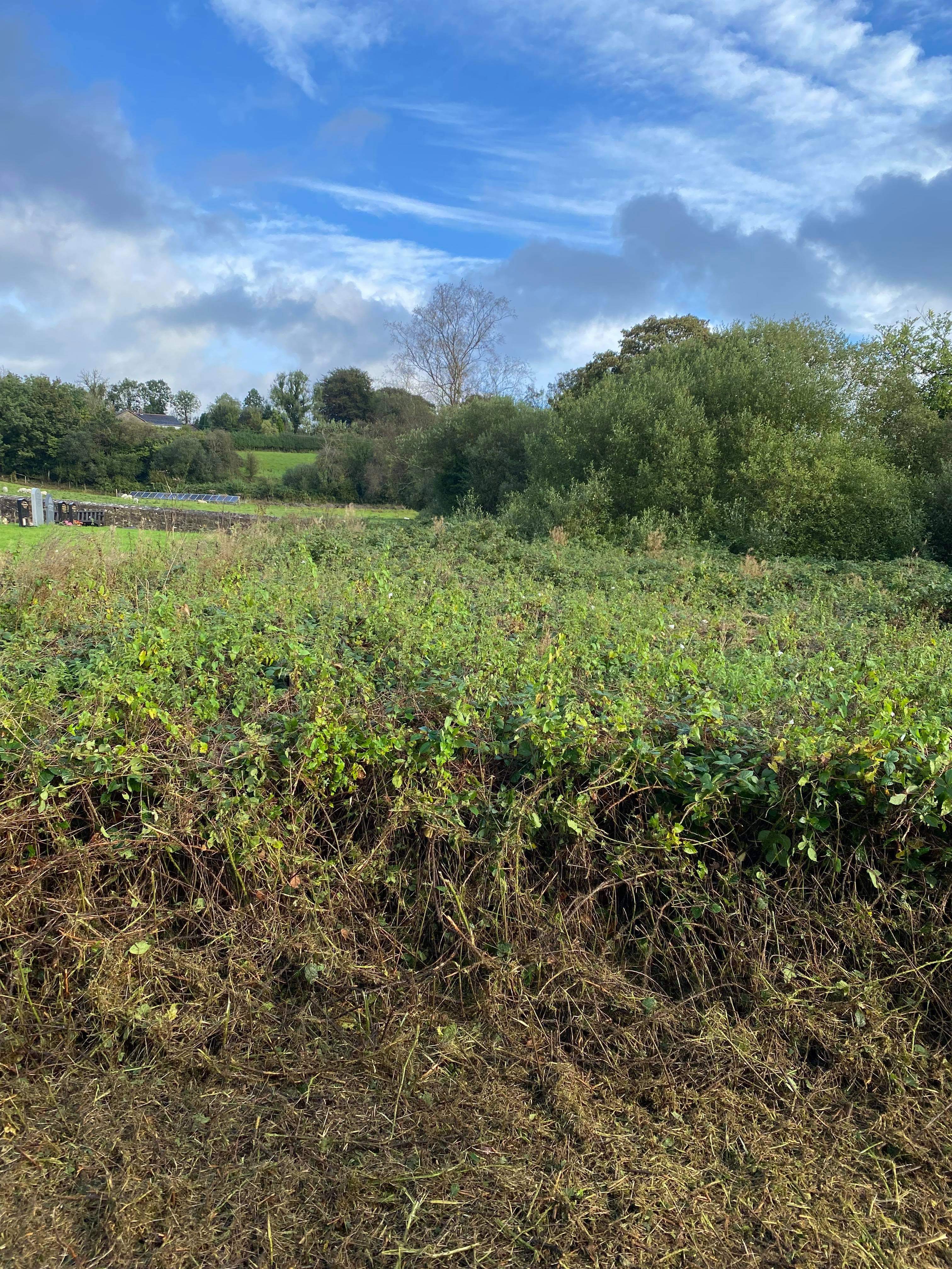 Examples of landscaping works